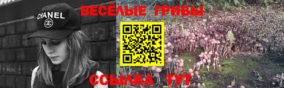 Галлюциногенные грибы Magic Shrooms  Вход с VPN  Псилоцибиновые грибы Psilocybe  Ржев 